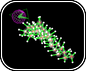 Molecule Folding