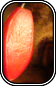 Seed