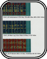 Data Vizualization