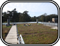 Roof Garden